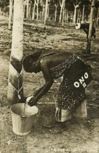 PC CPA SINGAPORE, TAPPING RUBBER, Vintage REAL PHOTO Postcard (b4460)
