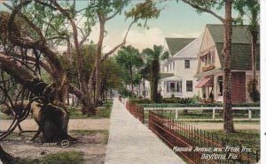 Florida Daytona Magnolia Avenue and Freak Tree 1909