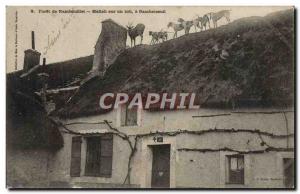 Old Postcard Foret De Rambouillet Hallali On a Roof A Gambaiseuil Hunting Dogs