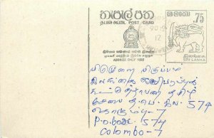 Entier Postal Stationery Postal Sri Lanka Ceylon Lion