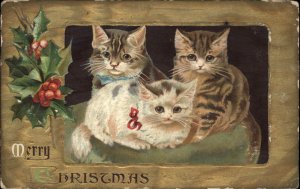 Christmas Cute Kittens Kitty Cats c1910 Vintage Postcard