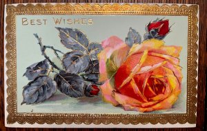 Vintage Victorian Postcard 1901-1910 Best Wishes - Orange Rose