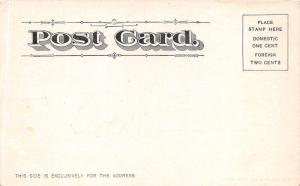 Frankfort Michigan~White Caps-Large Waves by Pier~c1905 Postcard