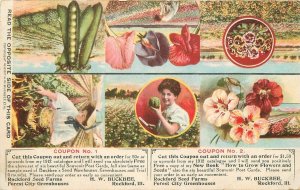 Postcard Illinois Rockford 1912 Buckbee Seed Advertising multi View 23-5457