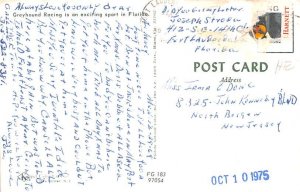 Goin' to the dogs Florida Track, USA Postcard