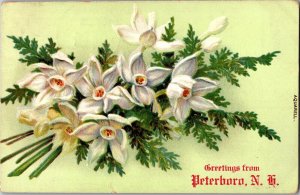 Floral, Greetings from Peterboro NH c1908 Vintage Postcard N77