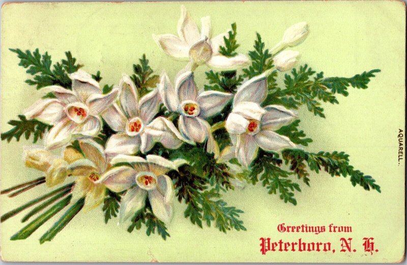 Floral, Greetings from Peterboro NH c1908 Vintage Postcard N77