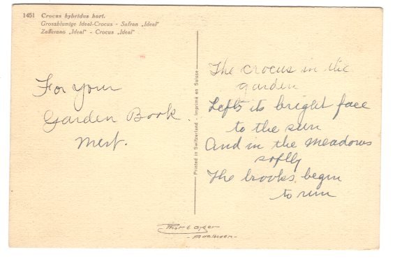 Crocus, Swiss Flower Series