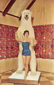 1950s Alaska Taxidermy Polar bear Sexy bathing suit woman Postcard 25-7306