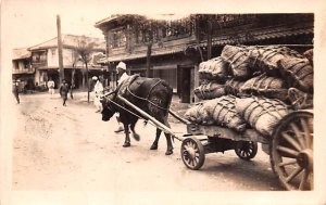 Native Ox Cart Writing on back 