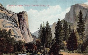 YOSEMITE VALLEY CALIFORNIA~MOUTH OF TENAYA CANYON~NEWMAN Y-28 POSTCARD