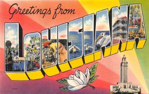 LOUISIANA 1940s LARGE LETTER Greetings Postcard