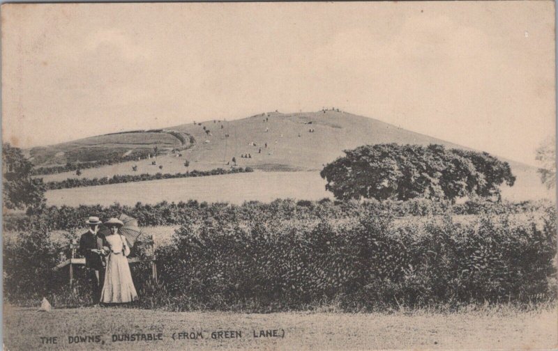 Bedfordshire Postcard - Dunstable, The Downs, From Green Lane  RS39064