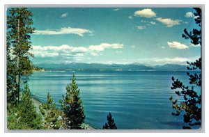 Yellowstone Lake Yellowstone National Park Wyoming Postcard