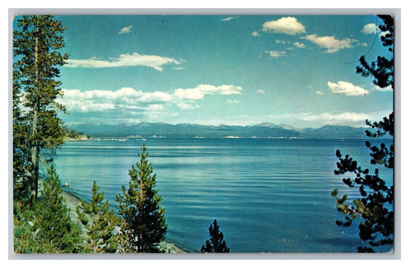 Yellowstone Lake Yellowstone National Park Wyoming Postcard 