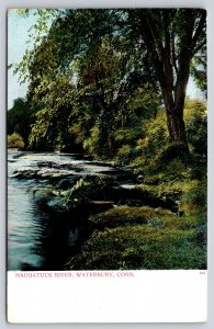 Waterbury Connecticut~Naugatuck River Shoreline Scene~Bosselman Vintage Postcard