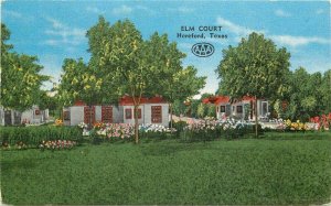 Elm Court roadside Hereford Texas Postcard linen Kropp 20-8065