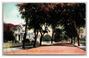 Estudillo Avenue Street View Looking East San Leandro California DB Postcard W5