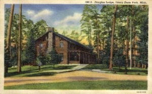 Douglas Lodge - Itasca State Park, Minnesota MN Postcard
