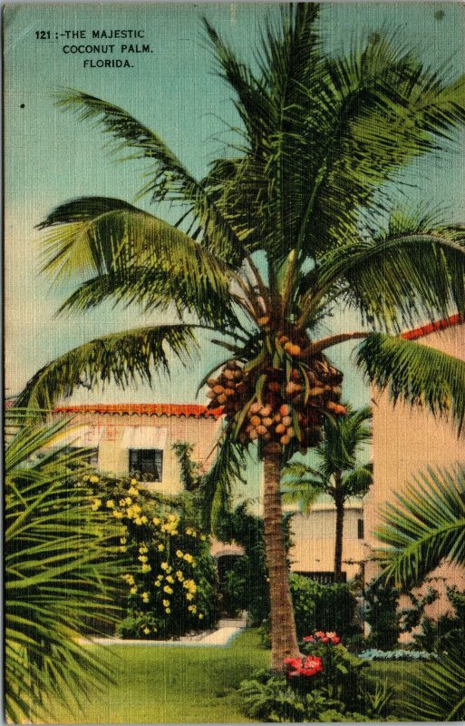 Vtg 1950s The Majestic Coconut Palm Florida FL Linen Postcard