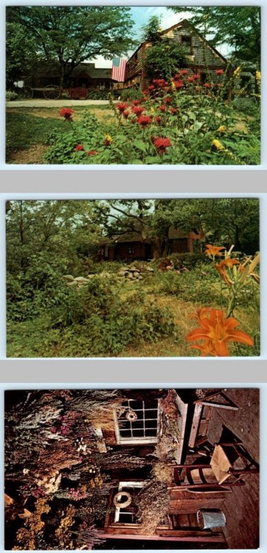 3 Postcards MASON, New Hampshire NH ~ Gardens PICKITY PLACE Herb Drying Shed