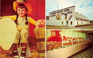 Chick Museum Sterling Poultry Farm Sterling MI 