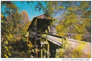 South Carolina Historic Old Covered Bridge Chapmans Bridge