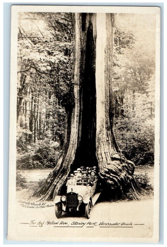 1928 Stanley Park Big Hallow Tree Vancouver BC Canada Posted RPPC Photo Postcard