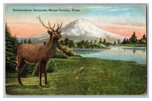 Postcard WA Northwestern Monarchs Mount Tacoma Washington Stag Deer 