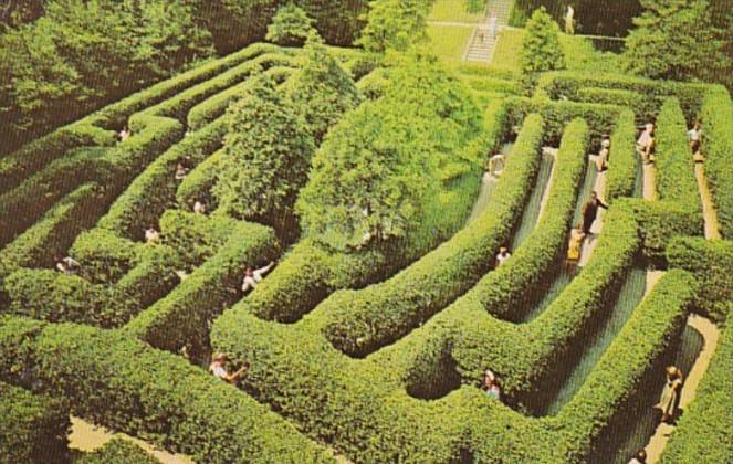 Virginia Williamsburg Governor's Palace The Maze