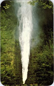 Akaka Falls Hamakua Coast Big Island Hawaii Vintage Chrome Postcard