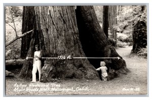 Postcard CA Muir Woods National Monument California Hollow Redwood Tree