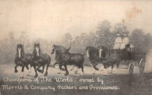 HORSES CHAMPIONS OF THE WORLD MORRIS & CO. PACKERS AD POSTCARD (c. 1910)