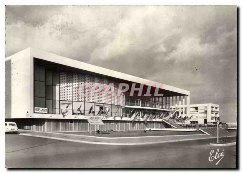 Modern Postcard Royan Charente Maritime Aquarium The Palace of Congress Aquar...