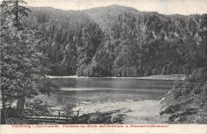 BF36612 feldberg i schwarzw feldsce m blick aufseebuck germany