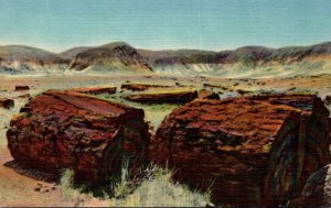 Arizona Petrified Forest Agatized Logs Curteich