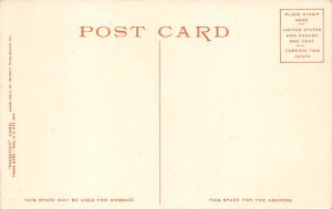 New Born Spring and Terrace Yellowstone Park, USA