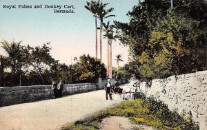 Royal Palms and Donkey Cart Bermuda Writing on back 