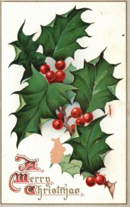 Vintage Postcard 1909 A Merry Christmas Holiday Special Celebration Green Leaves