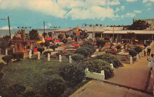 Buckroe Beach Virginia Amusement Park Mini Golf Vintage Postcard AA67349