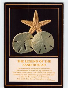 Postcard The Legend Of The Sand Dollar