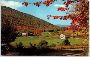 Postcard - Flaming Foliage Of Fall - Pennsylvania