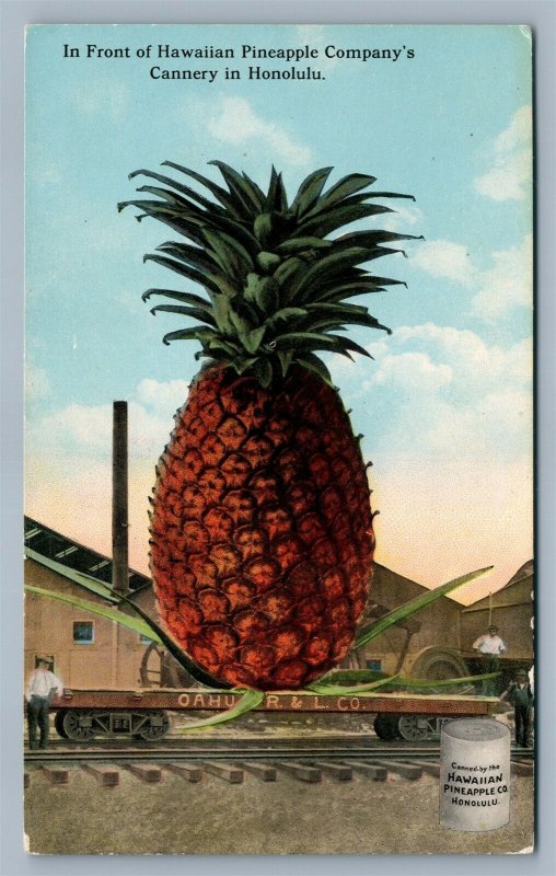 HAWAIIAN PINEAPPLE COMPANY'S CANNERY HONOLULU ANTIQUE POSTCARD