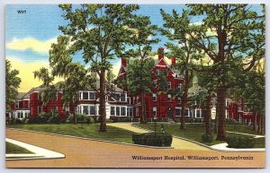 Williamsport Hospital Pennsylvania PA Grounds And Trees View Landmark Postcard