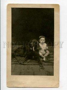 3107020 Charming Boy w/ Irish SETTER vintage REAL PHOTO