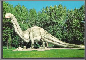 Canada Calgary Dinny The Dinosaur Postcard