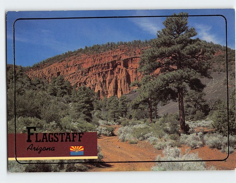 Postcard Flagstaff, Arizona