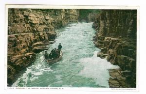 Running the Rapids,  Ausable Chasm, New York, unused Phostint PC