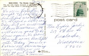 Mon O War,The Wonder Horse,Lexington,KY BIN