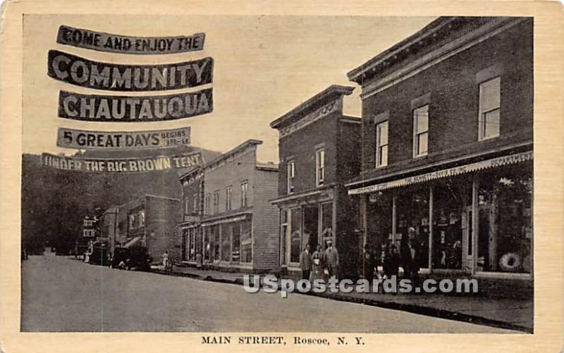 Main Street Roscoe NY Unused